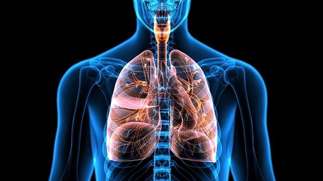 Respiratory Diseases Photo